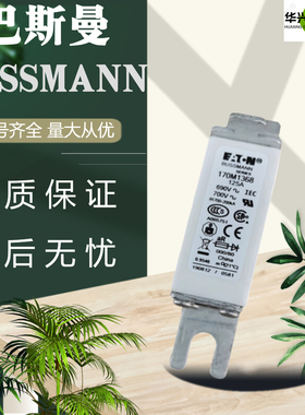 全新巴斯曼熔断器170M1368/69 170M1562/63 170M3142/44170M4269
