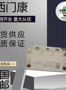 全新德国西门康SKM300GB125D SKM300GB126D SKM100GB066DIGBT模块