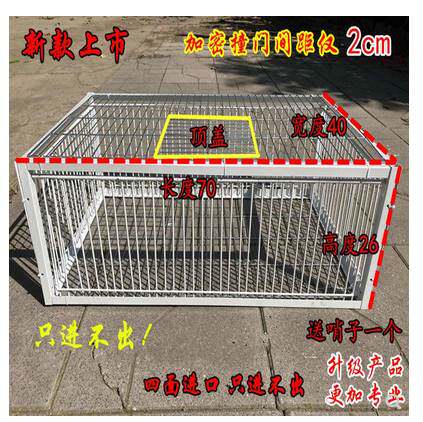 特大号鸽子笼神器自动撞门活络门专用只进不出跳进口笼子捕鸽抓全