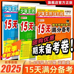 新2025秋15天满分备考少年素质教育报 人教版苏教北师译林冀教一到六年级上下册期末冲刺100分小学语数英期末系统总复习试卷小升初