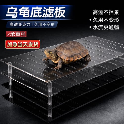 亚克力底滤板乌龟滤板晒台鱼缸乌龟缸隔板底部垫板沉淀过滤网板