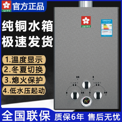 燃气热水器液化气10/16升煤气天然气电池即热低水压强排家用洗澡