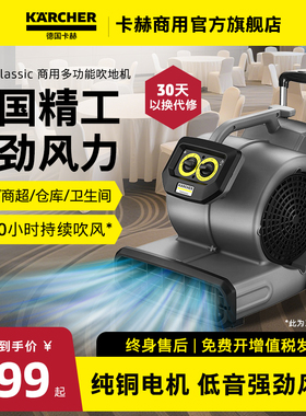 德国卡赫吹地机地面吹干机商用大功率吹风机地毯厕所地板除湿AB40