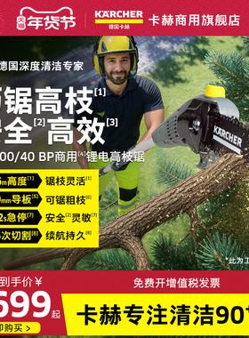 德国卡赫绿林锂电高枝锯商用修剪树枝高空锯树神器PS200/40BP