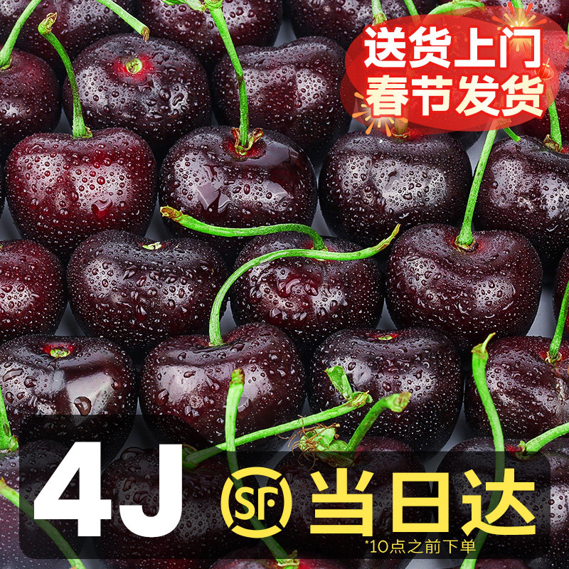 智利进口车厘子5斤新鲜水果当季整箱包邮孕妇进口樱桃特大果礼盒