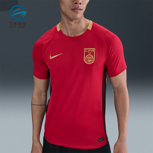 Nike/耐克正品Dri-FIT男士运动足球训练透气经典球衣FZ9018-687