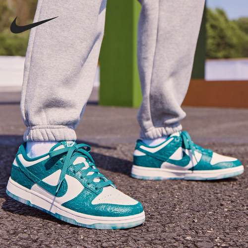 Nike/耐克正品Dunk Low女士轻盈缓震复古运动板鞋DV3029-100