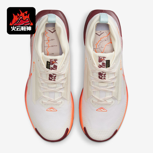 Nike/耐克正品Pegasus女士回弹缓震运动透气耐磨跑步鞋FQ0912-104