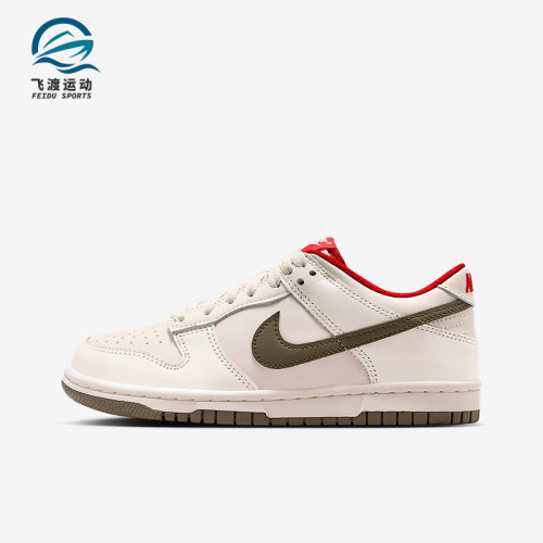 Nike/耐克正品Dunk Low GS女子大童系带耐磨低帮运动鞋IQ9793-020