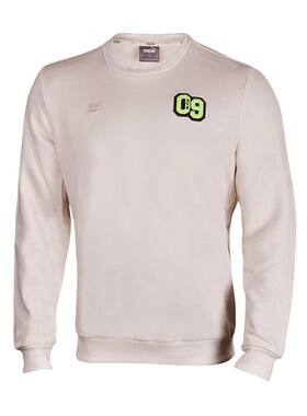 Puma/彪马正品春季新款男子圆领金标休闲运动卫衣764303-02