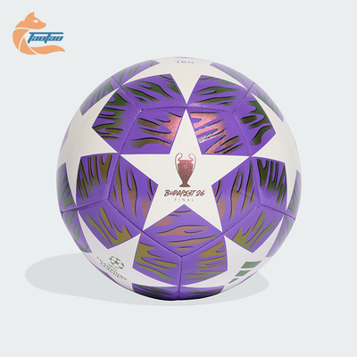 Adidas/阿迪达斯正品UCL TRN F 男女款经典欧冠训练用足球JX9089