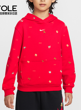 Nike/耐克正品春季款大童休闲连帽套头刺绣运动卫衣IR0097-657