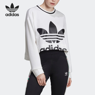 Adidas/阿迪达斯正品 三叶草CROPPED SWEATER女装休闲卫衣 ED4759