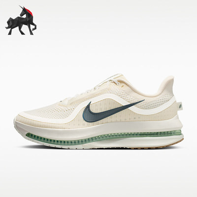 Nike/耐克正品PEGASUS PREMIUM男士防滑网面训练跑步鞋HQ2592-106