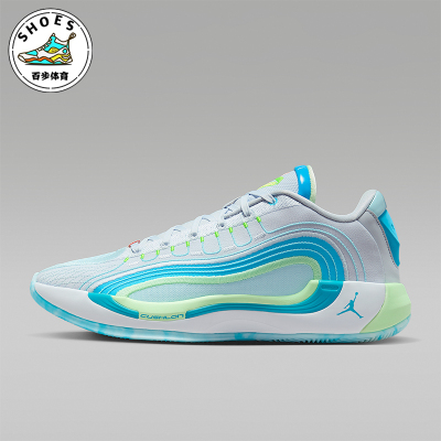 Nike/耐克正品JORDAN男士缓震训练运动耐磨经典篮球鞋HF0824-002