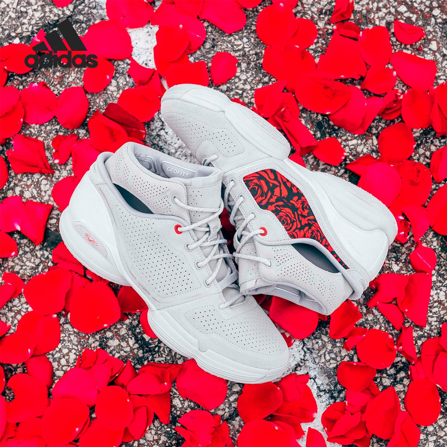 Adidas/阿迪达斯正品adiZero Rose1男子罗斯场上篮球鞋FV8057