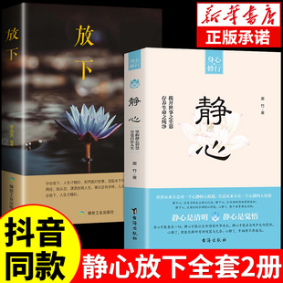 抖音同款 心理医生人生智慧 放下人生没什么做自己 静心书籍正版