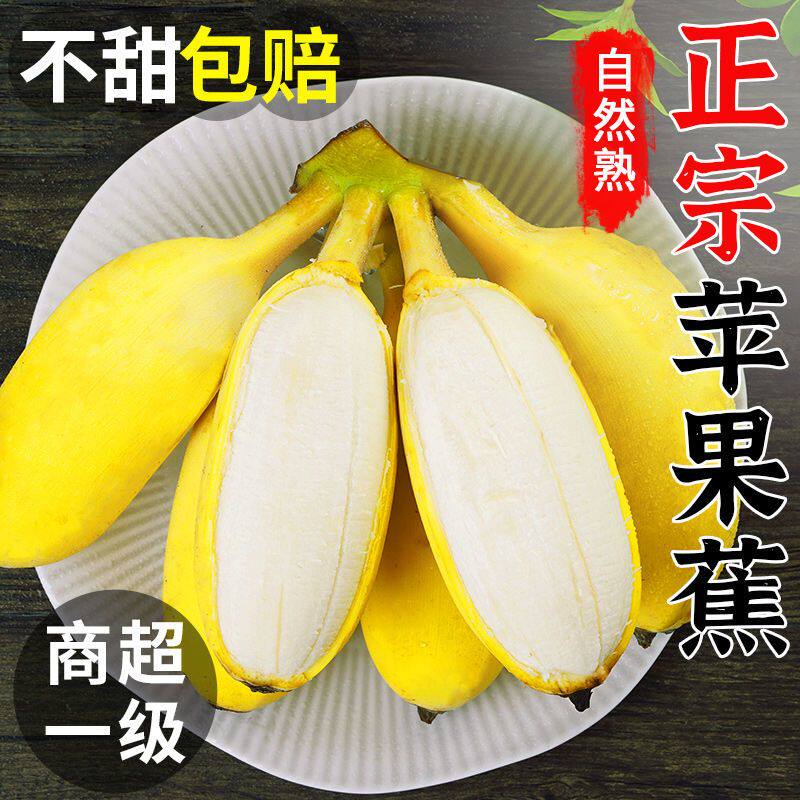 正宗广西苹果蕉焦小米香蕉新鲜水果整箱当季粉蕉禁止拒绝蕉绿