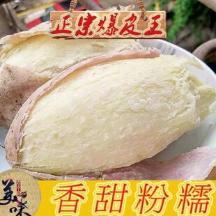 茂名大番薯白皮地瓜老品种红薯番薯新鲜农家自种板栗薯高州爆皮王