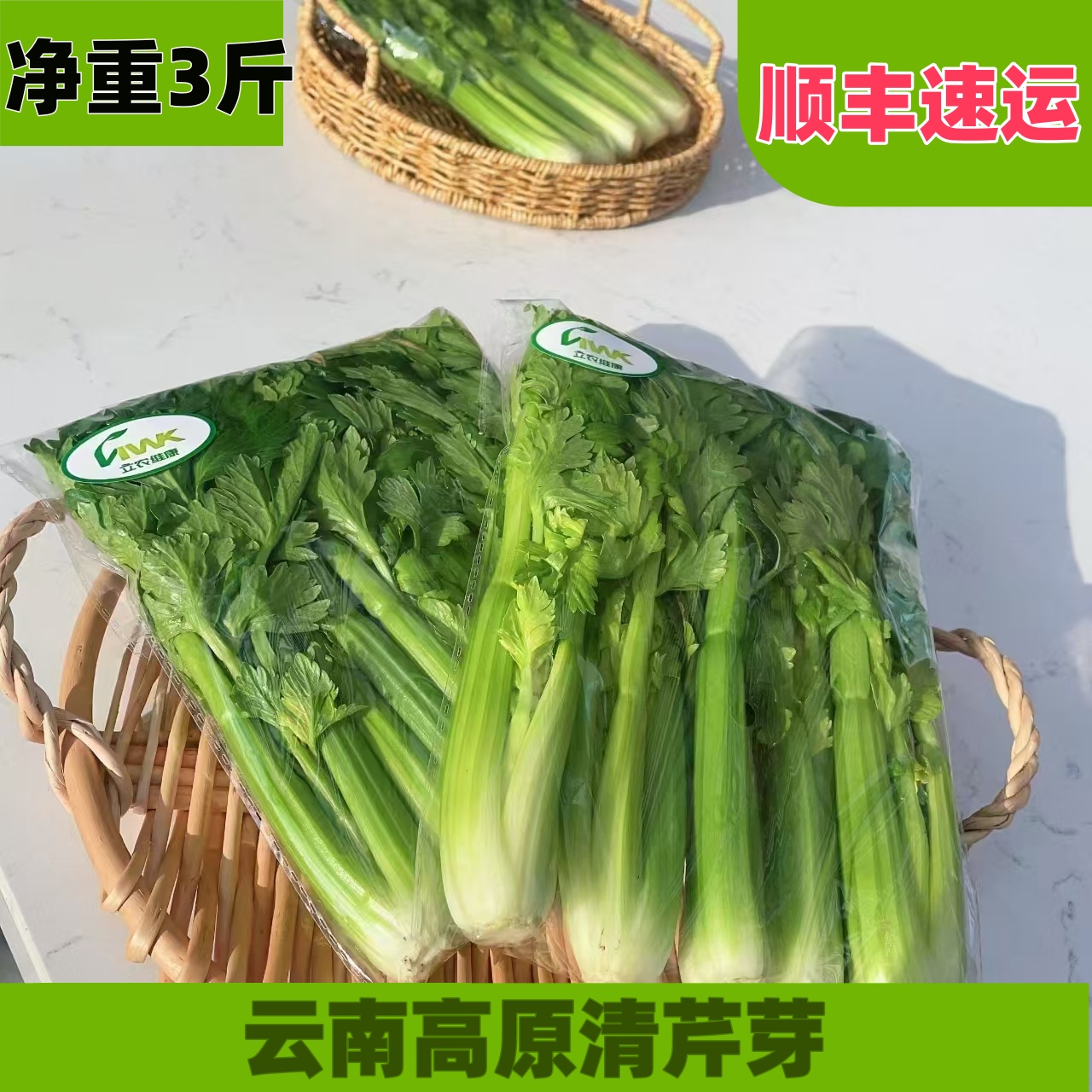 现摘清芹芽顺丰云南基地现摘现发