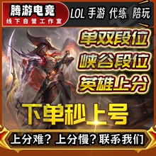 lol代练英雄联盟手游端游代打陪玩定位赛车队上分手游m国标战力
