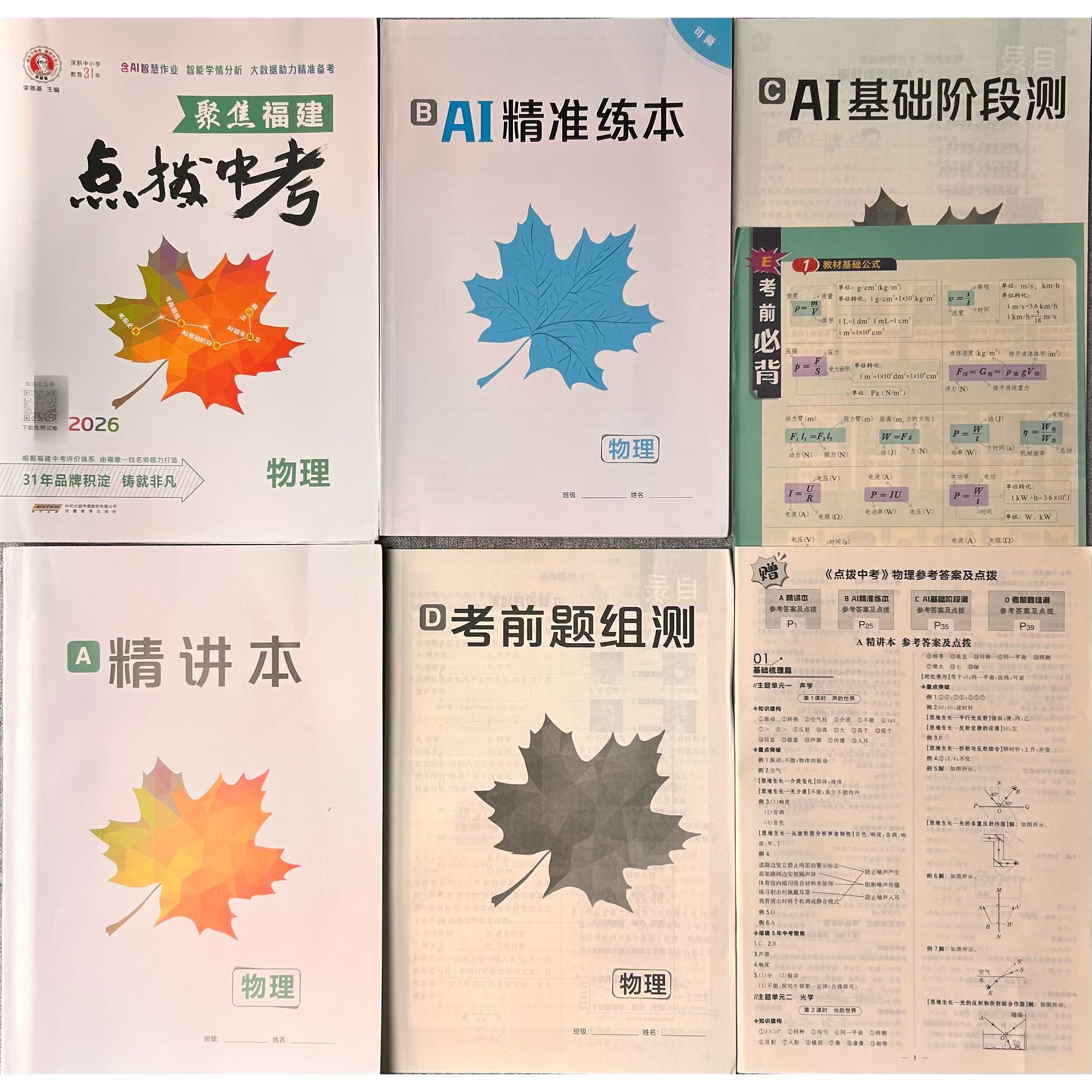 204新版点拨中考物理总复习福