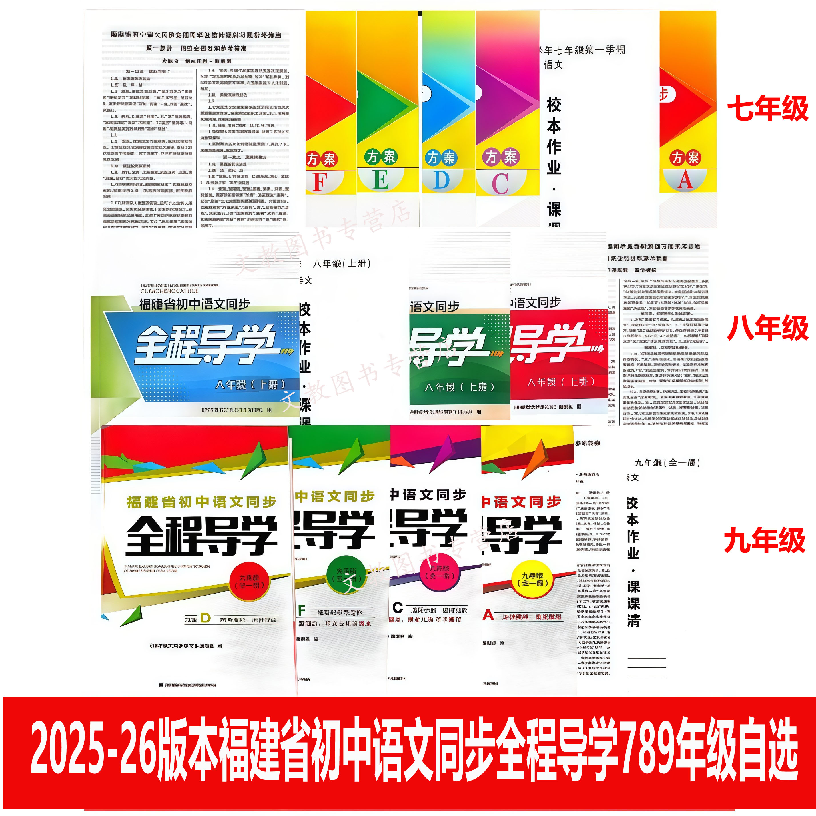 2025新版福建省初中语文同