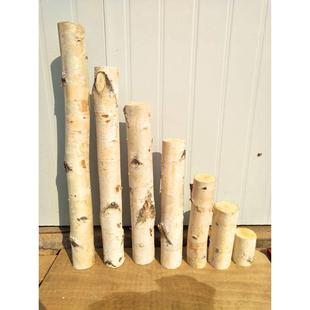 新疆包邮白桦树干木段树桩艺术白杨树道具白桦树白隔断婚庆玄关树