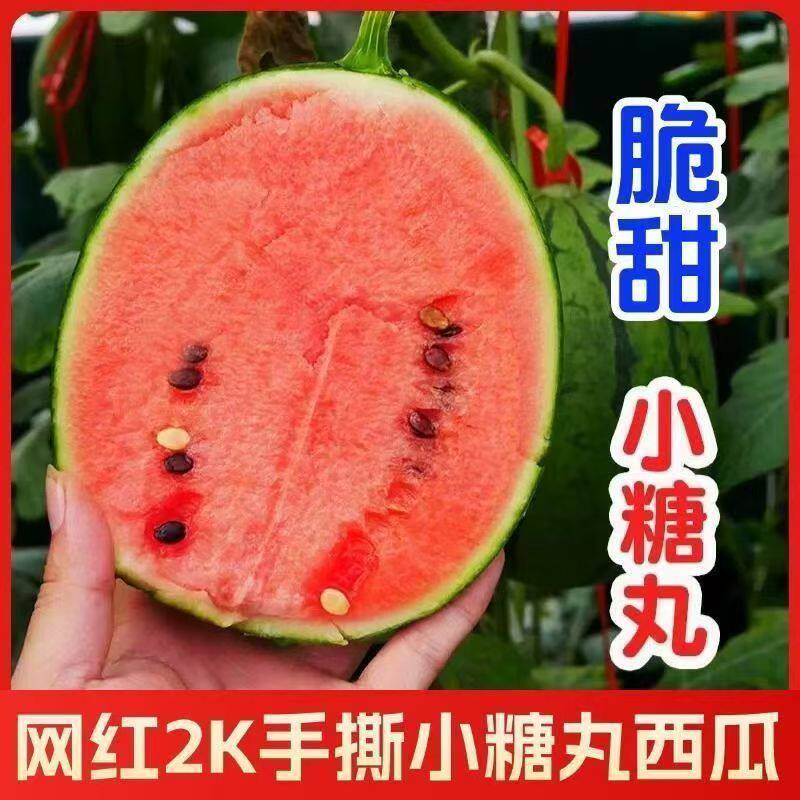 新鲜小西瓜小吊瓜2K小糖丸手剥西瓜新鲜水果薄皮红壤脆甜现摘现发 - 实物图