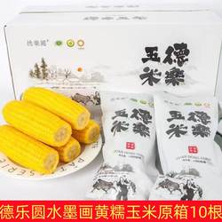 德乐园玉米吉林公主岭水墨画非转基因黄糯香甜玉米苞米真空包装
