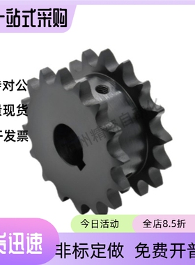 链轮 双列型SP40SD12 13 14 15-S-N-10 13 15 18 20 25 28 30 35