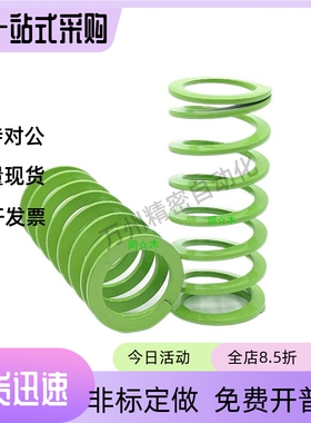 等矩形螺旋弹簧T-SWY11-15 20 25 30 35 40 45 50 55 60 65 70 75