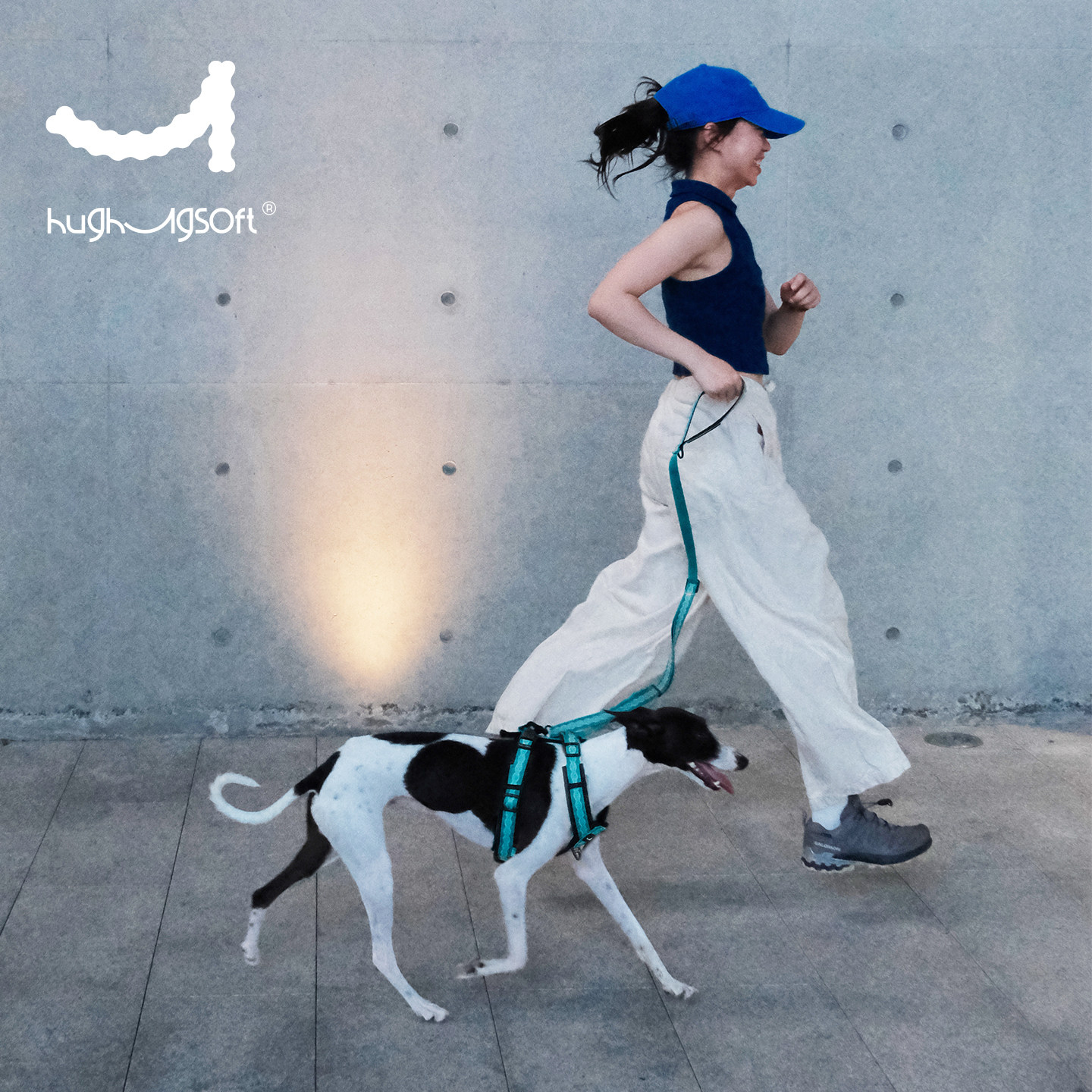 中小型犬轻量防磨不勒胸背