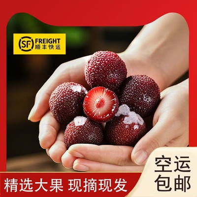 正宗仙居东魁大杨梅鲜果水果顺丰