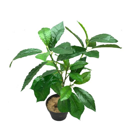 仿真绿植工程夏栎植物假树叶子青岗杠叶子烁树叶榕树板傈叶