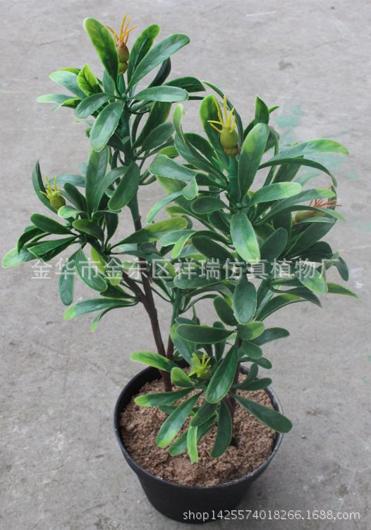 仿真假树叶塑胶叶蜡烛树叶植物叶子工程装饰迷你小盆栽盆景