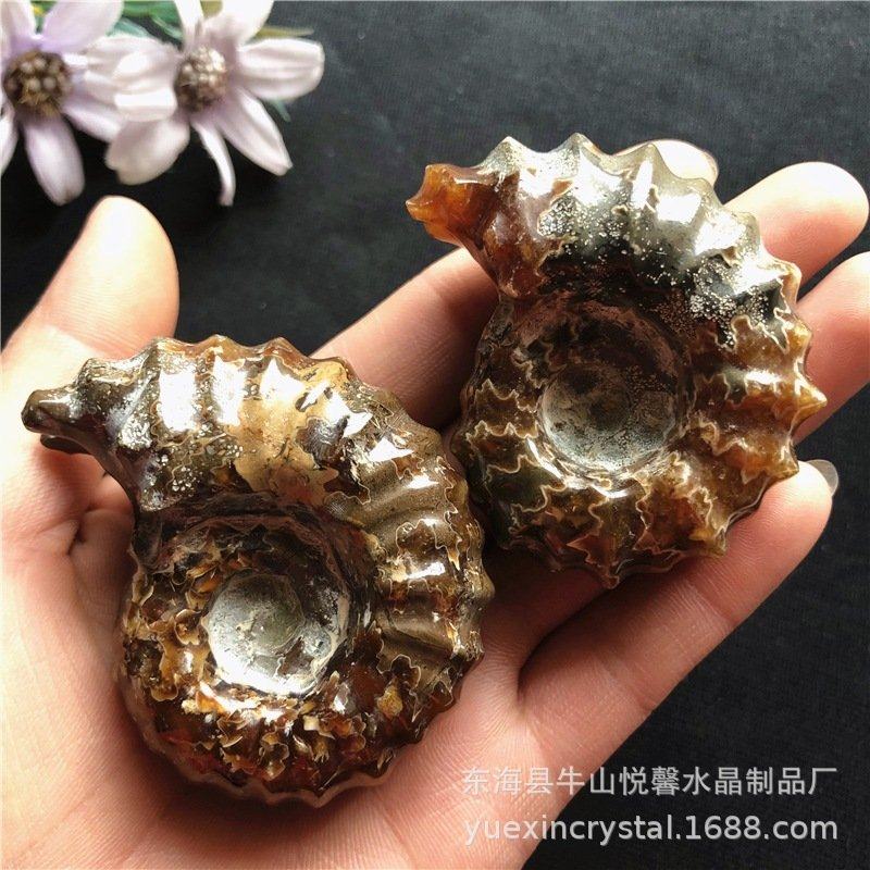 天然古生物羊角螺化石玉化螺菊石奇石手把玩件矿石标本石头,饰品/流行首饰/时尚饰品新,奇石,淘宝优惠券,粉丝福利购,淘宝优惠卷