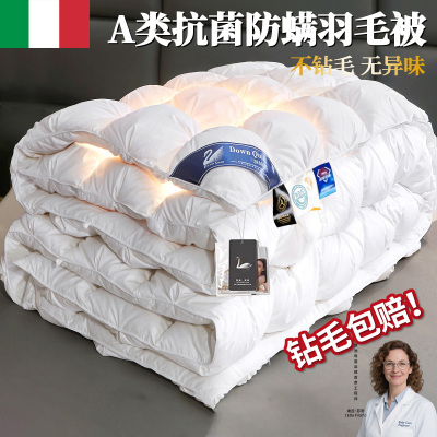 意大利进口加厚羽绒被单人棉被