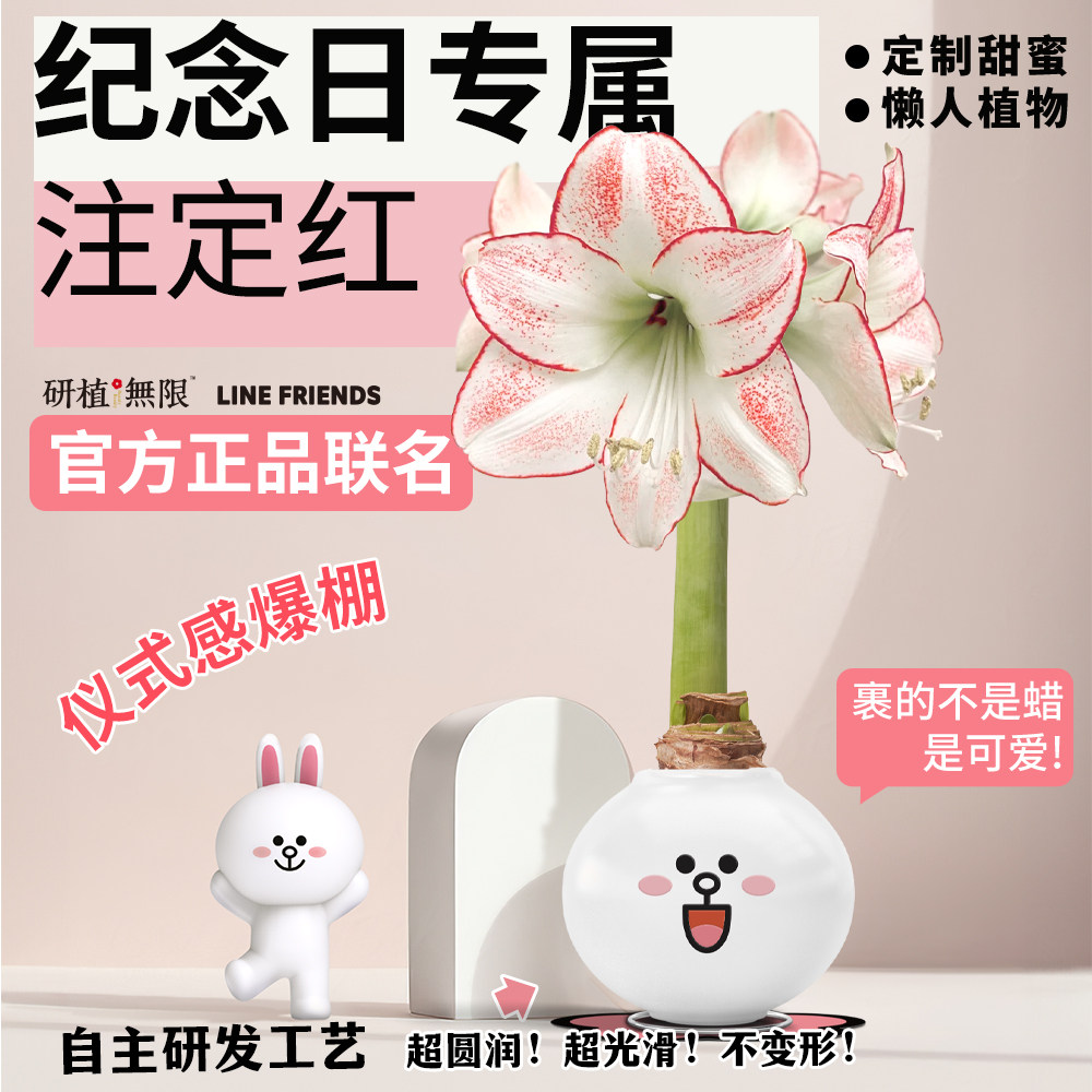 研植无限&LINEFRIENDS联名款可妮兔腊封朱顶红蜡球礼盒生日伴手礼