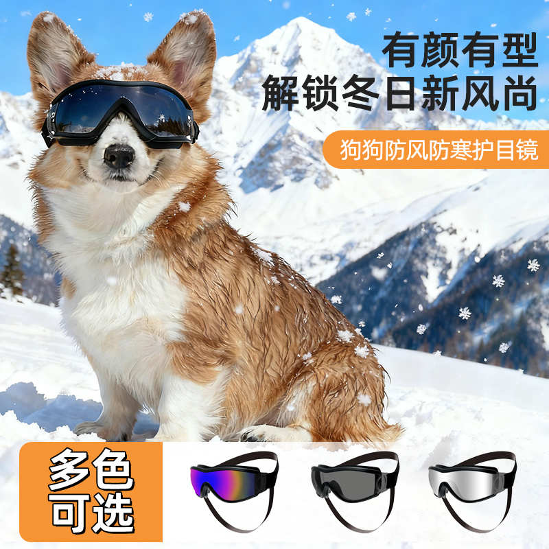 宠物狗狗墨镜柯基护目镜防风眼镜