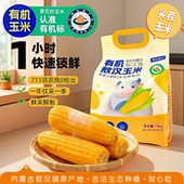有机敖汉玉米黄金小粒黄糯小玉米三度七内蒙新鲜甜糯玉米棒真空装