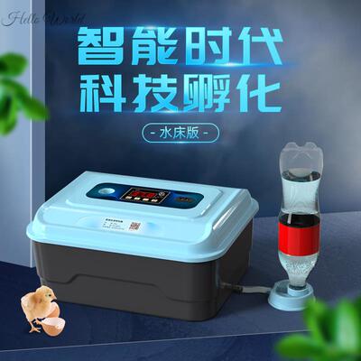 。玄凤鹦鹉受精蛋孵化器小型孵蛋器家用自动孵化机小鸡鹌鹑蛋孵化