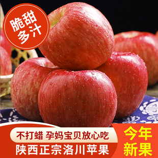 红富士大脆甜整箱 包邮 正宗陕西洛川苹果新鲜10斤当季 23年新果