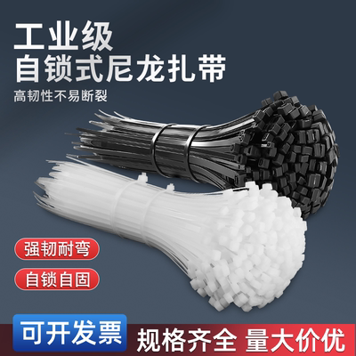 工业级尼龙扎带尼龙迦臣