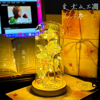毕业季礼物送女生同学玫瑰夜灯