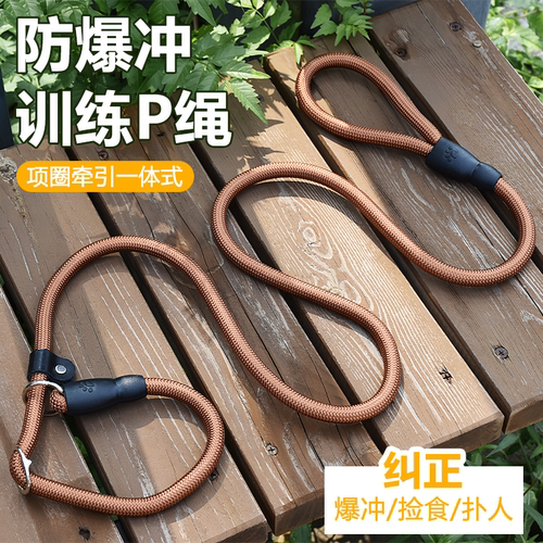 狗狗牵引绳防爆冲p绳中小型犬