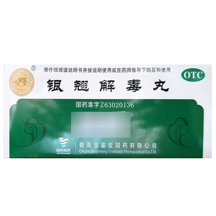 宝鉴堂  银翘解毒丸 9g*10丸/盒