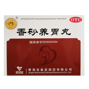 宝鉴堂  香砂养胃丸 9g*10袋/盒