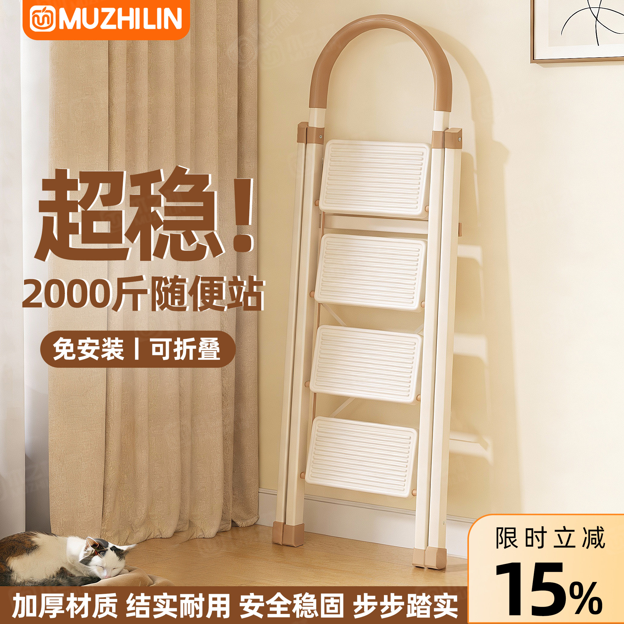 【德标品质HOT】3.0铁厚家用梯