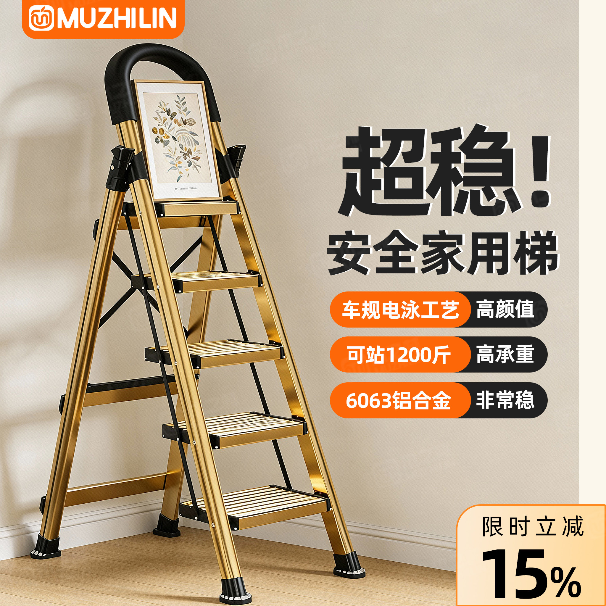 【德标品质HOT】3.0铁厚家用梯